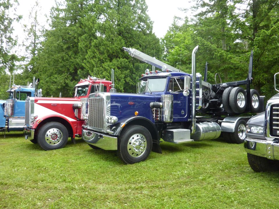 Three logging trucks parked on grass, one blue with a crane, one red and white, and one black