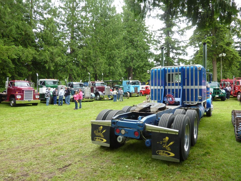 Several classic trucks parked on grass, with a blue and white truck in the foreground