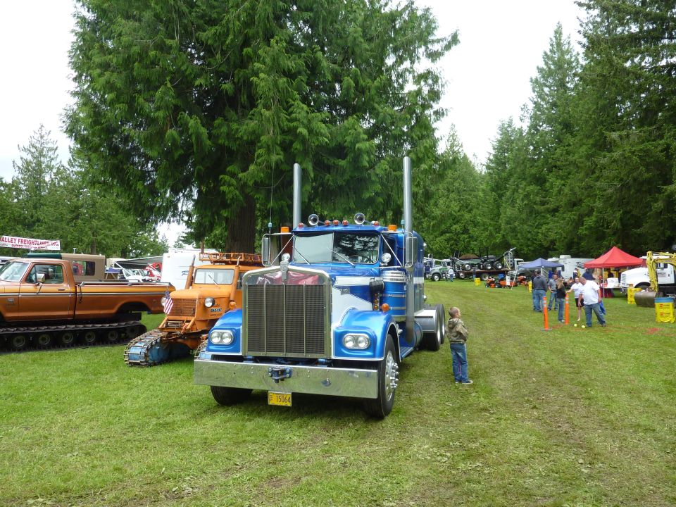 Blue and white semi-truck with chrome grille and tall exhaust stacks, parked on grass
