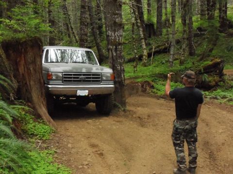 1988 Ford Bronco photo