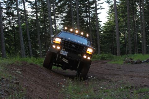 1995 Ford Bronco - This 1995 Ford Bronco is navigating a wooded trail, showing its off-road capabilities.