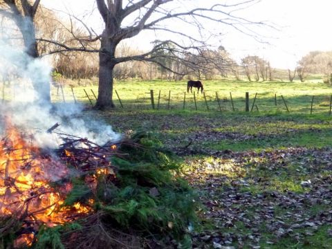 1969 Lincoln Continental - A large bonfire burns in a yard, with a lone horse visible grazing in a grassy field under a bright sky.