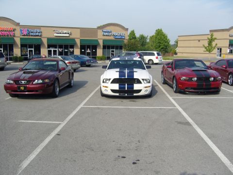 2007 Ford Mustang - A trio of Mustangs are parked in a lot, with a white Shelby GT500 in the center.