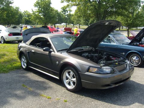 2007 Ford Mustang - A gray convertible Mustang is parked with its hood open, alongside other vehicles at an outdoor event.