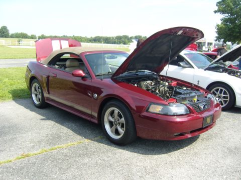 2007 Ford Mustang - Red convertible Mustang with hoods open, parked next to a white Mustang.