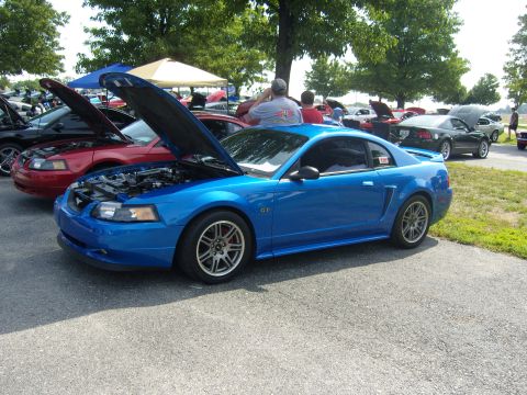 2007 Ford Mustang - A blue Ford Mustang GT is parked with its hood open at an outdoor car show.