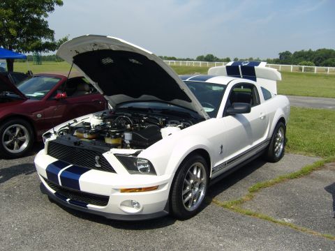2007 Ford Mustang - White 2007 Ford Mustang GT500 with blue racing stripes and hood open, parked next to a red Mustang.