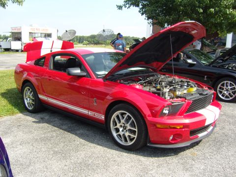2007 Ford Mustang - A red 2007 Ford Mustang GT500 is displayed with its hood open, revealing the engine and prominent racing stripes.