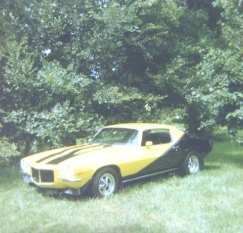 1995 Ford Bronco - This two-tone yellow and black coupe with racing stripes is parked on a grassy area with trees in the background.