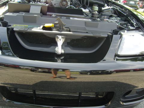 2007 Ford Mustang - Front view of a black 2007 Ford Mustang Cobra, its distinctive grille and snake emblem.