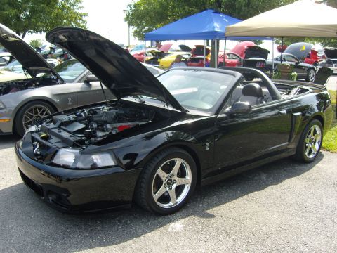 2007 Ford Mustang - Black 2007 Ford Mustang convertible at a car show, hood open, with other vehicles visible.