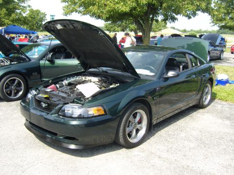 2007 Ford Mustang - Two dark green Ford Mustangs are parked side-by-side with hoods open at an outdoor car show.