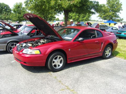 2007 Ford Mustang - A red Ford Mustang from the early 2000s is displayed with its hood up at a car show.