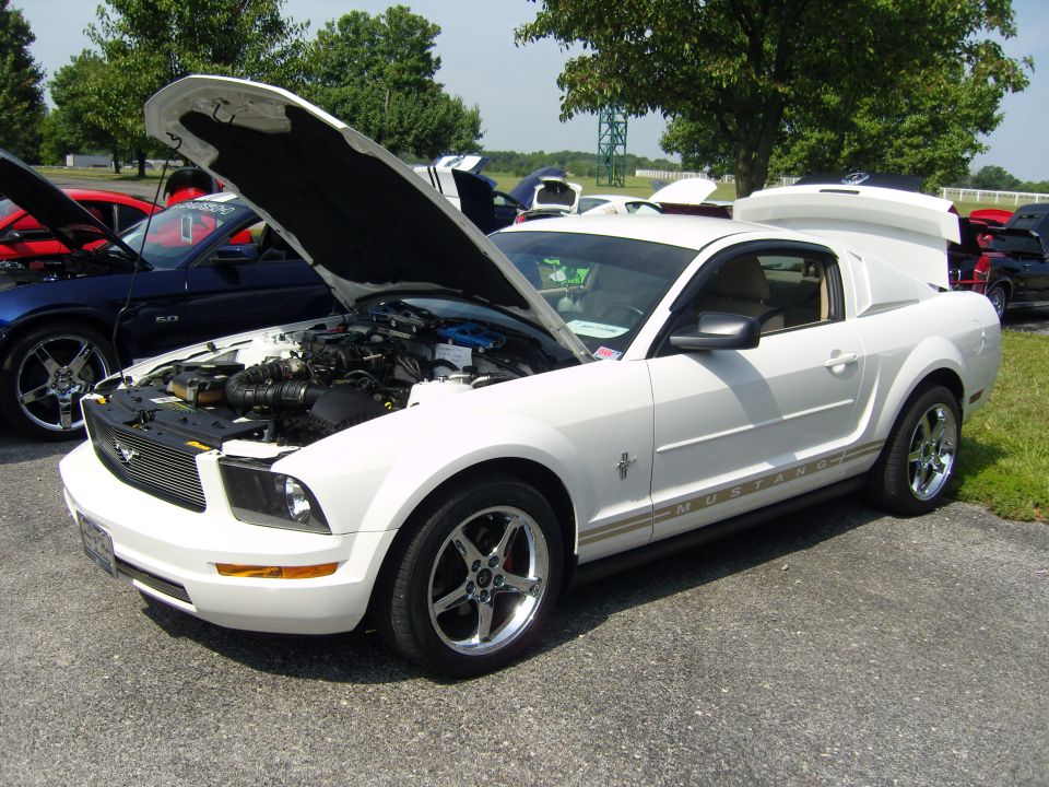 White Ford Mustang with hood open, showing engine. Gold stripe along the bottom. Another blue car is visible to the left