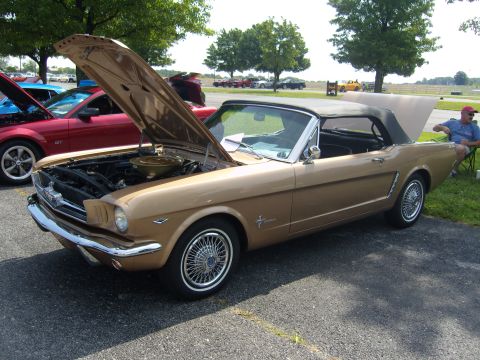 2007 Ford Mustang - A classic gold 1965 Ford Mustang convertible is displayed with its hood open, alongside other vehicles at an outdoor car show.