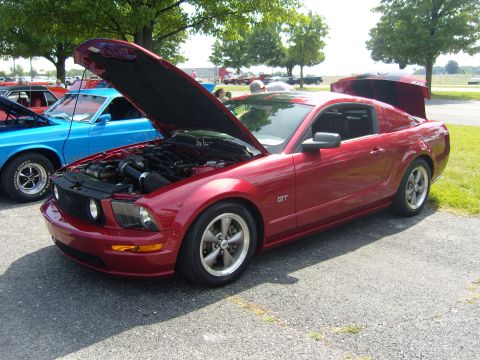 Mustang Mania 2012