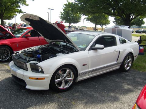 2007 Ford Mustang - A white 2007 Ford Mustang Shelby GT is displayed with its hood open at an outdoor car event.