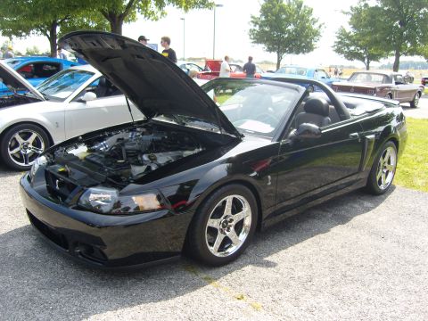 2007 Ford Mustang - A black 2007 Ford Mustang convertible is displayed with its hood open, revealing the engine bay.