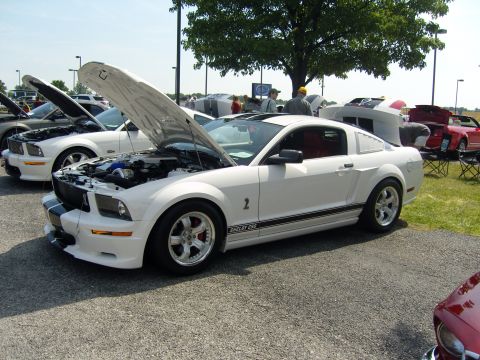 2007 Ford Mustang - A white 2007 Ford Mustang Shelby GT500 is displayed with its hood open at an outdoor car show.