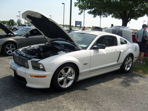 2007 Ford Mustang - A white 2007 Ford Mustang Shelby GT is displayed with its hood open, revealing the engine bay.