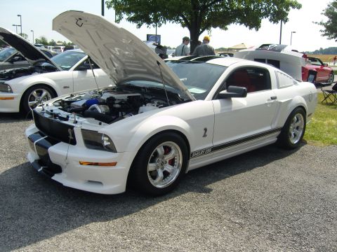 2007 Ford Mustang - White 2007 Ford Mustang Shelby GT500 at a car show, hood open, revealing the engine bay.