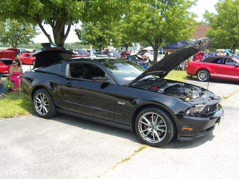 Mustang Mania 2012