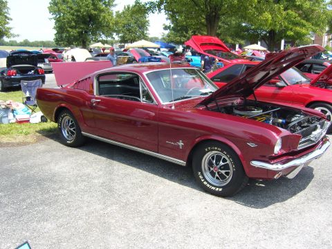 2007 Ford Mustang - A classic red 1965 Ford Mustang fastback is displayed with its hood open at an outdoor car show.