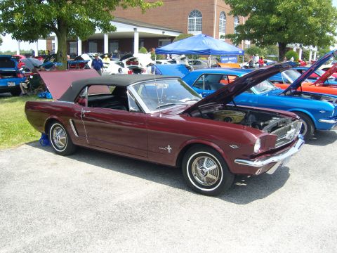 2007 Ford Mustang - A classic Ford Mustang convertible is displayed at an outdoor car show with its hood up.