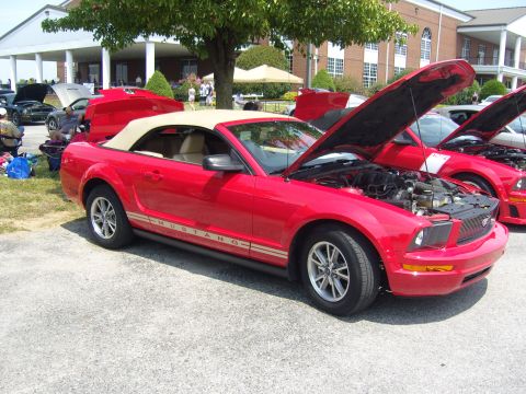 2007 Ford Mustang - Red 2007 Ford Mustang convertible at a car show, hoods open.
