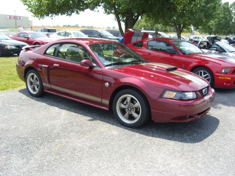 2007 Ford Mustang - A red Ford Mustang coupe from the early 2000s is parked at an outdoor event, with another Mustang visible behind it.