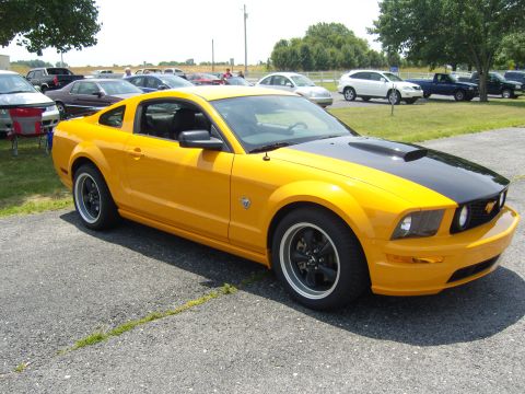 2007 Ford Mustang - Yellow 2007 Ford Mustang coupe with black hood and black wheels parked on asphalt.
