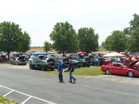 2007 Ford Mustang - Outdoor car show features numerous Ford Mustangs with open hoods under a bright sky.