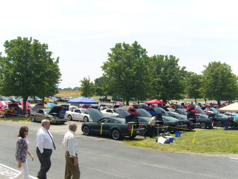 2007 Ford Mustang - A gathering of Ford Mustangs, many with hoods open, displayed on a sunny day.