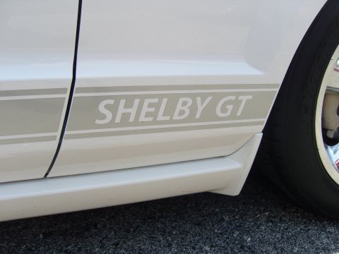 2007 Ford Mustang - A white car displays a prominent 'SHELBY GT' decal along its lower side panel.