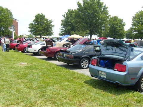 2007 Ford Mustang - A line of Ford Mustangs are parked on a grassy field, with the rear of a light blue 2005 model prominently displayed with its trunk open.