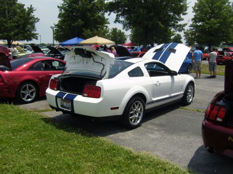 2007 Ford Mustang - A white Ford Mustang with blue stripes is parked at an outdoor car show with its trunk open.