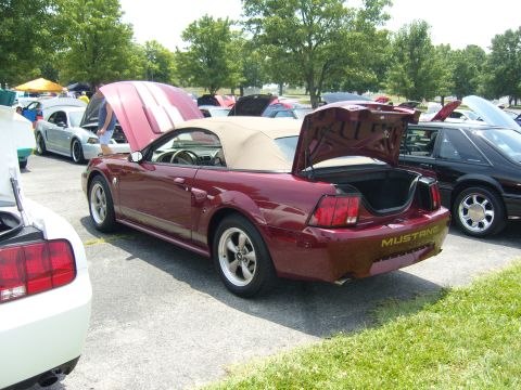 2007 Ford Mustang - A red 2007 Ford Mustang convertible is parked with its hood and trunk open, alongside other vehicles.