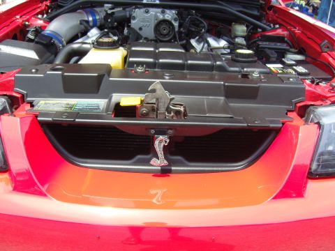 2007 Ford Mustang - Close-up of the engine bay and grille of a red 2007 Ford Mustang Cobra, the iconic cobra emblem.