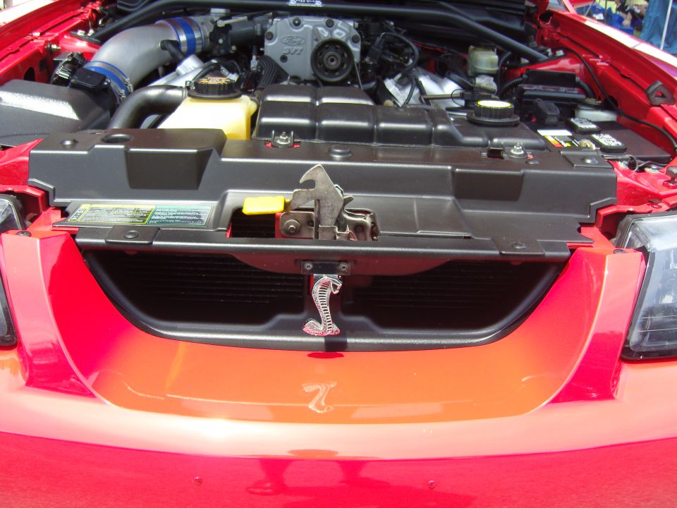 Red 2007 Ford Mustang Cobra engine bay with cobra emblem on grille