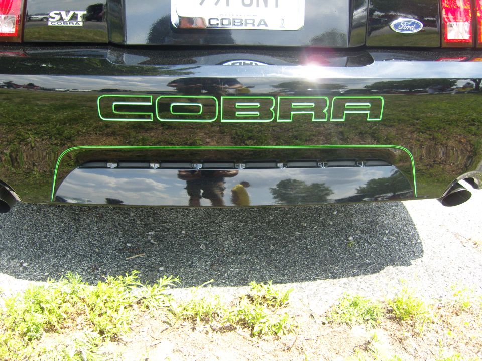 Black Ford Mustang Cobra with green lettering on the rear bumper. License plate is visible