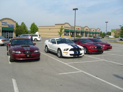 2007 Ford Mustang - Several Ford Mustangs are parked in a lot in front of a strip mall.