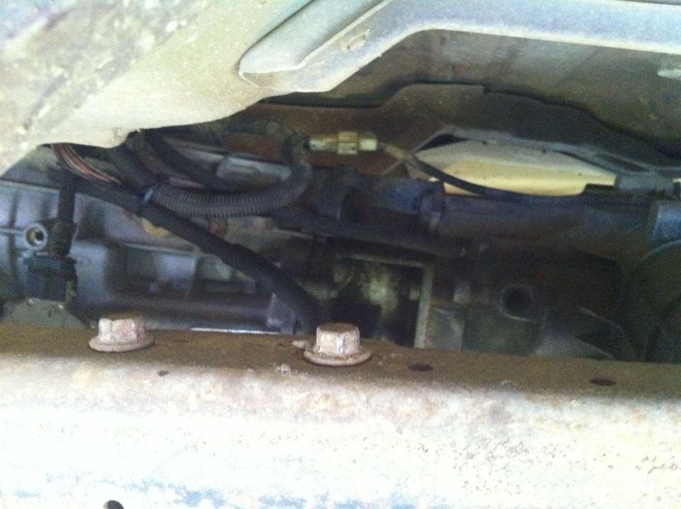 Vehicle underbody showing transmission and wiring harness