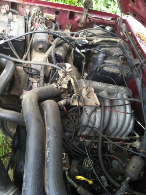 1991 Ford Bronco - Close-up view of a vehicle's engine bay, a Ford intake manifold and various hoses and wiring.