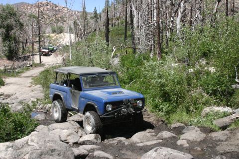 1991 Ford Bronco - A blue Ford Bronco tackles a challenging off-road path through a wooded area.