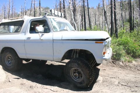 1991 Ford Bronco - Modified white Ford Bronco navigating a challenging off-road course.
