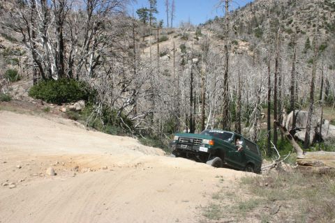 1991 Ford Bronco - A green SUV navigates a steep, sandy trail surrounded by dead trees and rocky terrain.