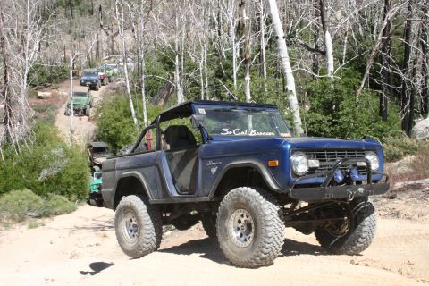 1991 Ford Bronco - A line of off-road vehicles, including a blue Ford Bronco, navigate a wooded trail.
