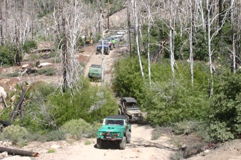 1991 Ford Bronco - A convoy of off-road vehicles navigates a wooded trail, with the lead vehicle being a green SUV.