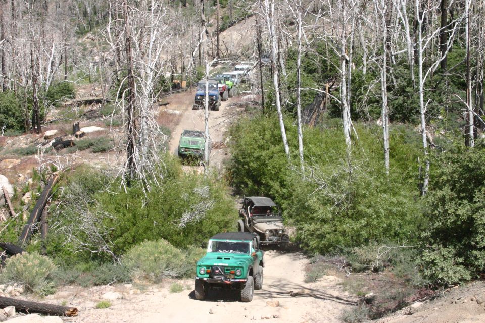 Green off-road vehicle with a roll cage on a dirt path, followed by other vehicles