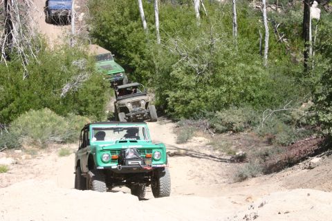 1991 Ford Bronco - Several off-road vehicles, including a green Ford Bronco, navigate a dusty trail through a wooded area.